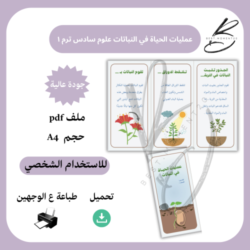 عمليات الحياة في النباتات علوم سادس ترم ١