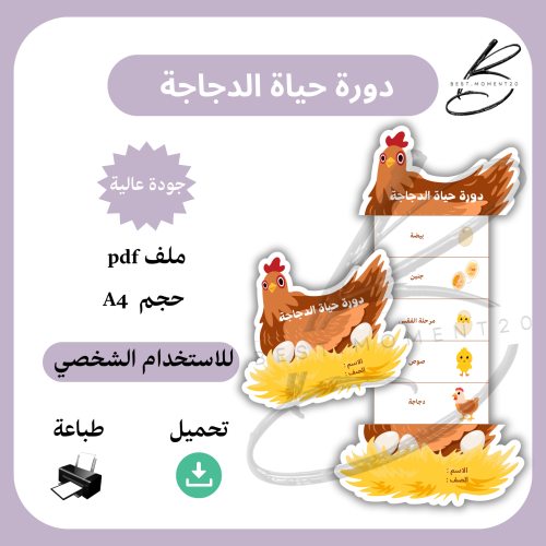 دورة حياة الدجاجة