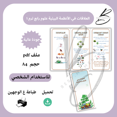 العلاقات في الأنظمة البيئية علوم رابع ترم١