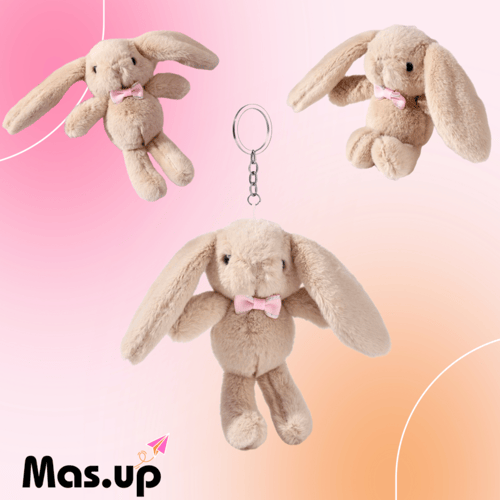 بوكس تخرج 2026