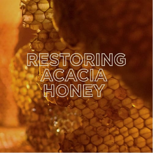 ماسك مرمم شعر بالعسل من غارنييه 340 مل