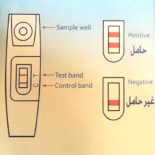 اختبار حمل منزلي من فيرست ستيب