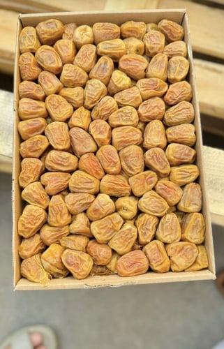 كرتون تمر سكري مفتل ملكي