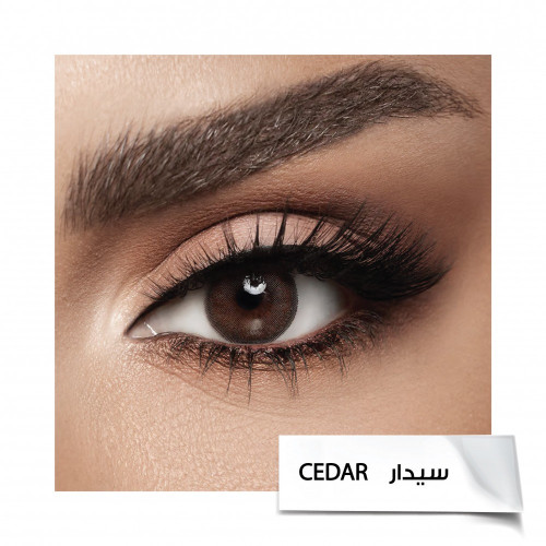 عدسات لاصقة من ديفا - سيدار