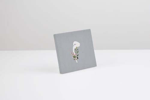 كانفس حرف م