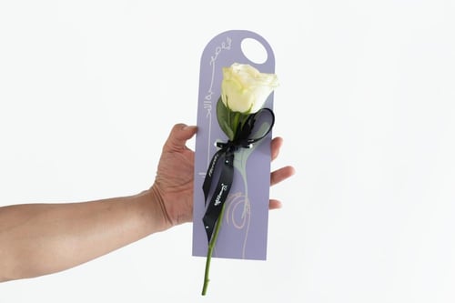 توزيعات زهرة ١٤٤٦