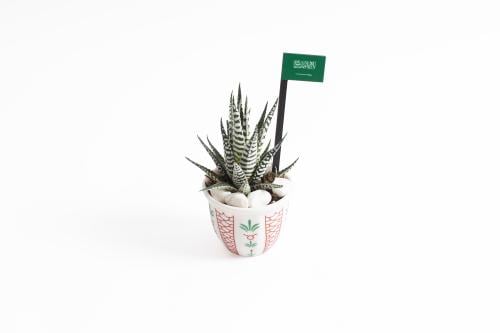 توزيعات أصالتنا