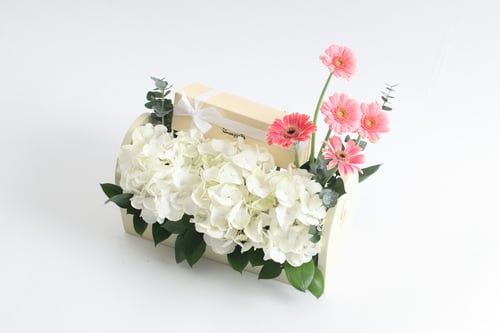 بوكس ورد فاصلة وشعرت بالسلام