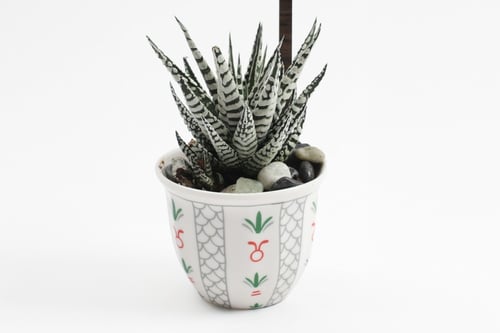 فاصلة الكرم والأصالة