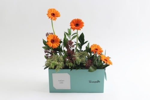 بوكس ورد فاصلة أغمضت عينيها لتحلم