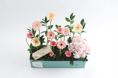 بوكس ورد فاصلة منحتها السعادة