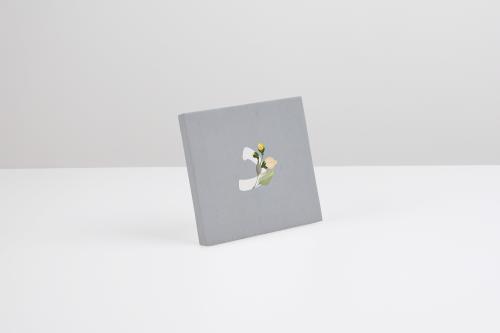 لوحة كانفس حرف د