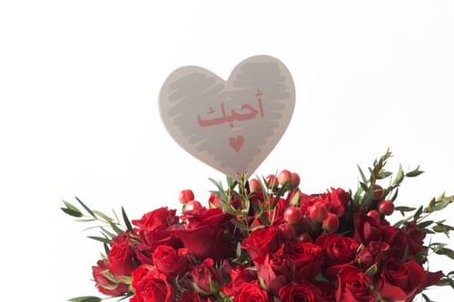 فازة ورد فاصلة نبض الحب