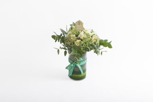 فازة حلوة سنيني