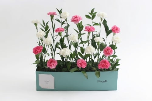 بوكس ورد فاصلة أشعر بنسمات الربيع