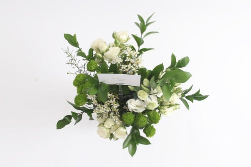 فازة ورد فاصلة فرحت بوجودك