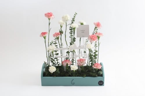 بوكس ورد فاصلة أقبلت بنورك