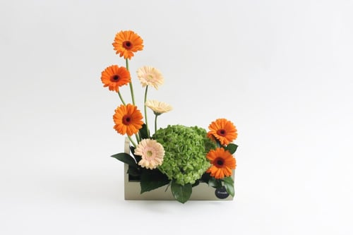 بوكس ورد فاصلة ألهمتني الفكرة