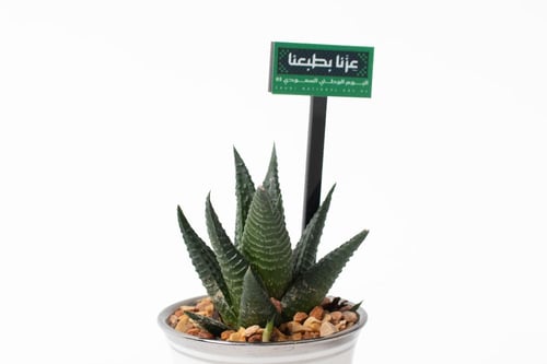 فنجان عزنا بطبعنا