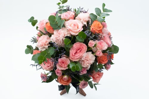 فازة ورد فاصلة أزهرتي حياتي