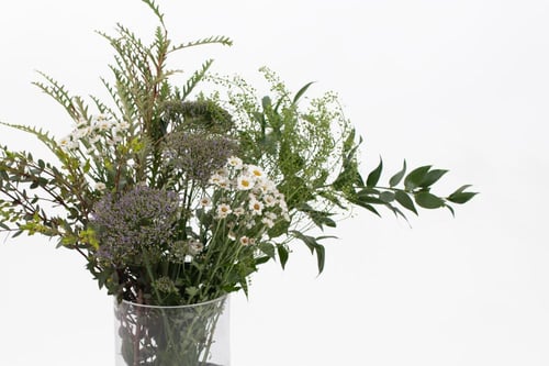 فازة ورد ربيع حياتي