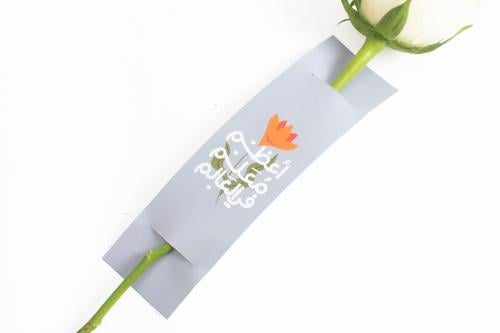 فاصلة اعظم معلم في العالم