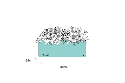 بوكس ورد فاصلة استقبلت البهجة