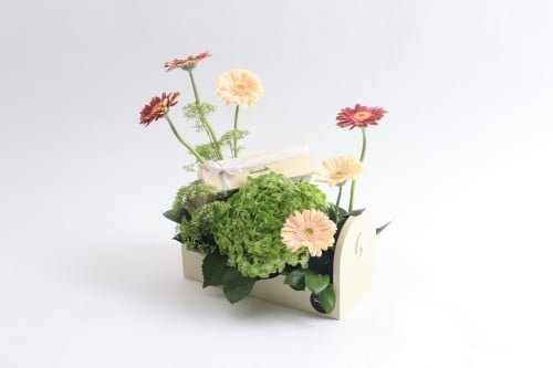 بوكس ورد فاصلة أطير كالفراشات