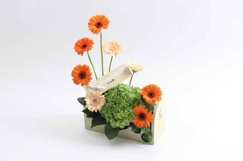 بوكس ورد فاصلة ألهمتني الفكرة