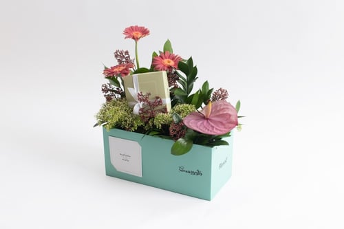 بوكس ورد فاصلة استقبلت البهجة