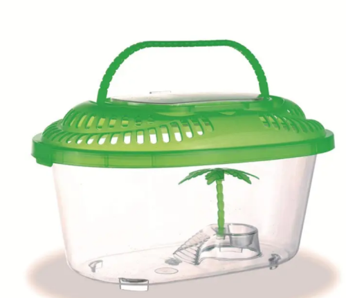 حوض سلاحف صغير