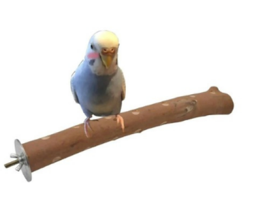 مجثم خشب طبيعي للطيور 30 سم