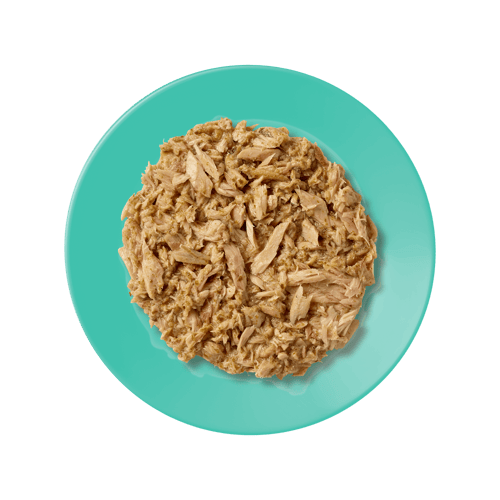 ابلاوز طعام رطب اظرف تونة مع الأنشوفة في المرق للق...