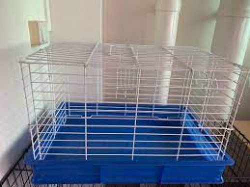 قفص للحيوانات صغير ملون