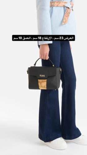 الفيرومارتيني
