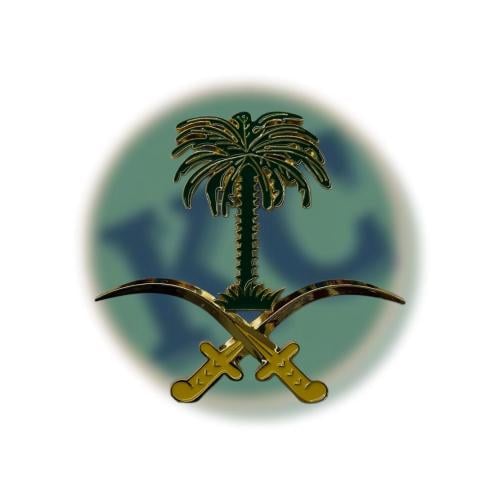 علامة شبك السيارة سيفين و نخلة