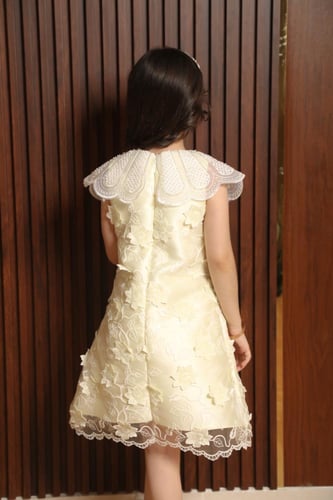 فستان بناتي تول مطرز بياقة دانتيل