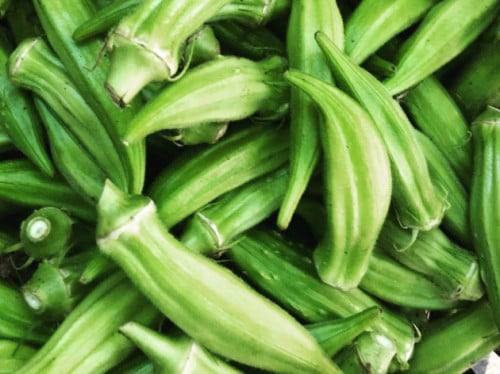 بذور البامية الهجينة F1