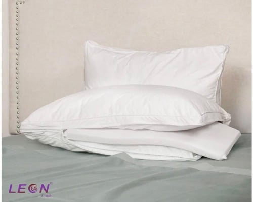 مخدة ليون الكنغر