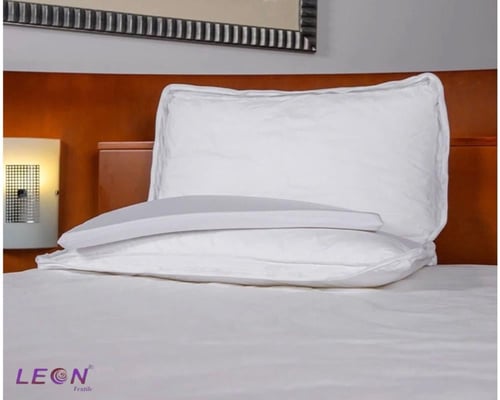 مخدة ليون الكنغر