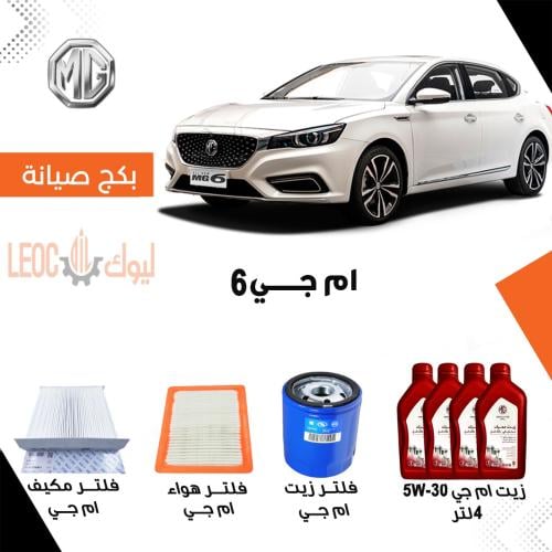 بكج صيانة ام جي 6