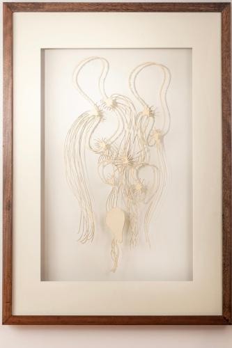 Jelly Fish (M)