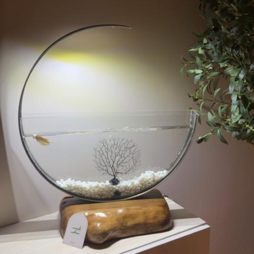 حوض خشب طبيعي ١٠٠٪