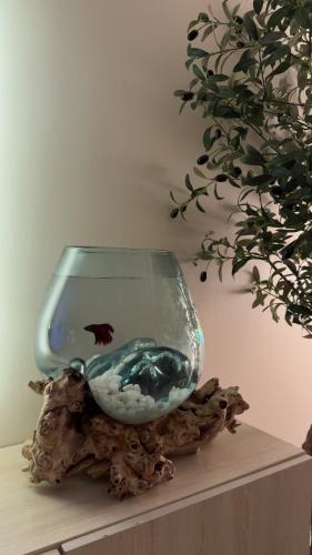 حوض خشب طبيعي ١٠٠٪