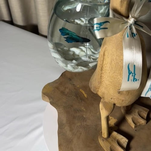 حوض البطة خشب طبيعي ١٠٠٪