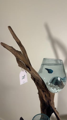 حوض خشب طبيعي ١٠٠٪؜