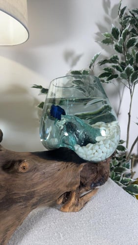 ابجورة خشب طبيعي ١٠٠٪