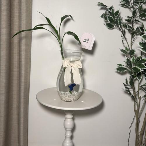 حوض ساق البامبو