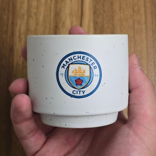 مانشستر سيتي