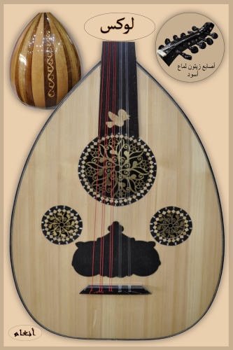 عود الريان موديل 2024 رقم 3